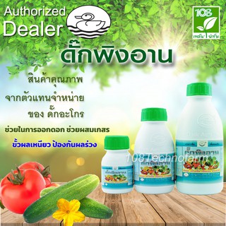 ขยายผล ขั้วเหนียว เพิ่มน้ำหนักผลและใบ30 % ดั๊กพิงอาน