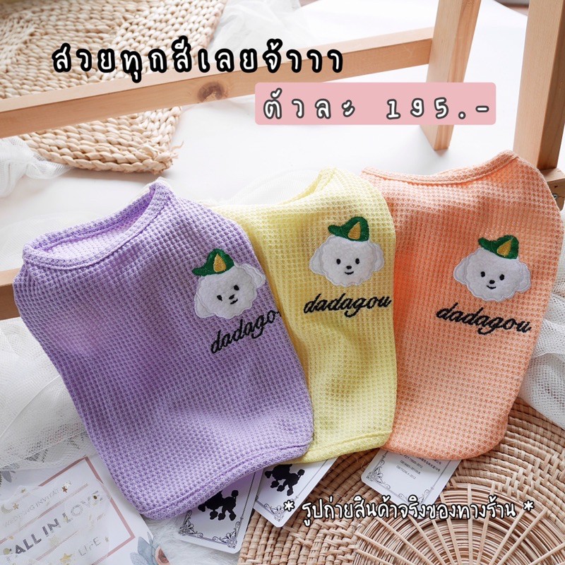 24dogwear-เสื้อกล้ามสุนัข-เสื้อหมา-เสื้อสุนัข-เสื้อสัตว์เลี้ยงน่ารัก