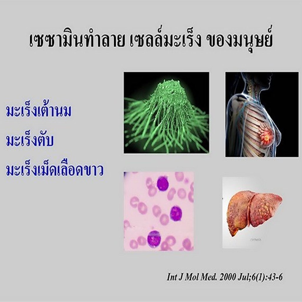 มีโปร-เซซามิ-เอส-กิฟฟารีน-sesami-s-giffarine-สารสกัดงาดำ-อาหารเสริม-แคลเซียม-ทำลายเซลล์มะเร็ง