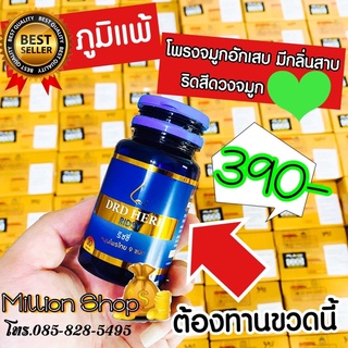 ภาพหน้าปกสินค้าส่งฟรี 🚚ไม่มีโค้ด 🚩DRDHERB🚩ตัวเด็ด มาแรง ช่วยบรรเทาอาการทางจมูก 30 แคปซูล ที่เกี่ยวข้อง