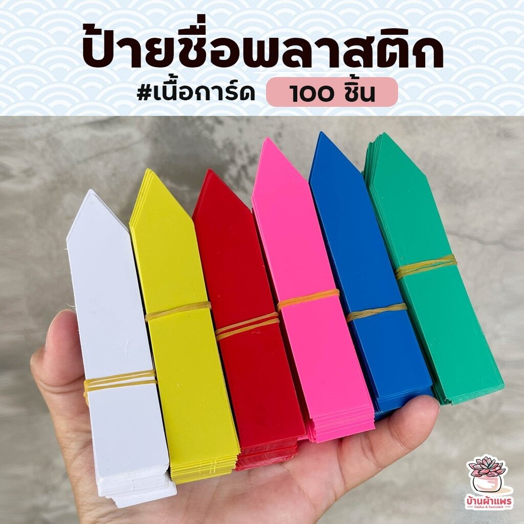 ภาพหน้าปกสินค้า( 100 ชิ้น ) ป้ายชื่อพลาสติก 10 x 2 ซม. เนื้อการ์ด ป้ายชื่อต้นไม้