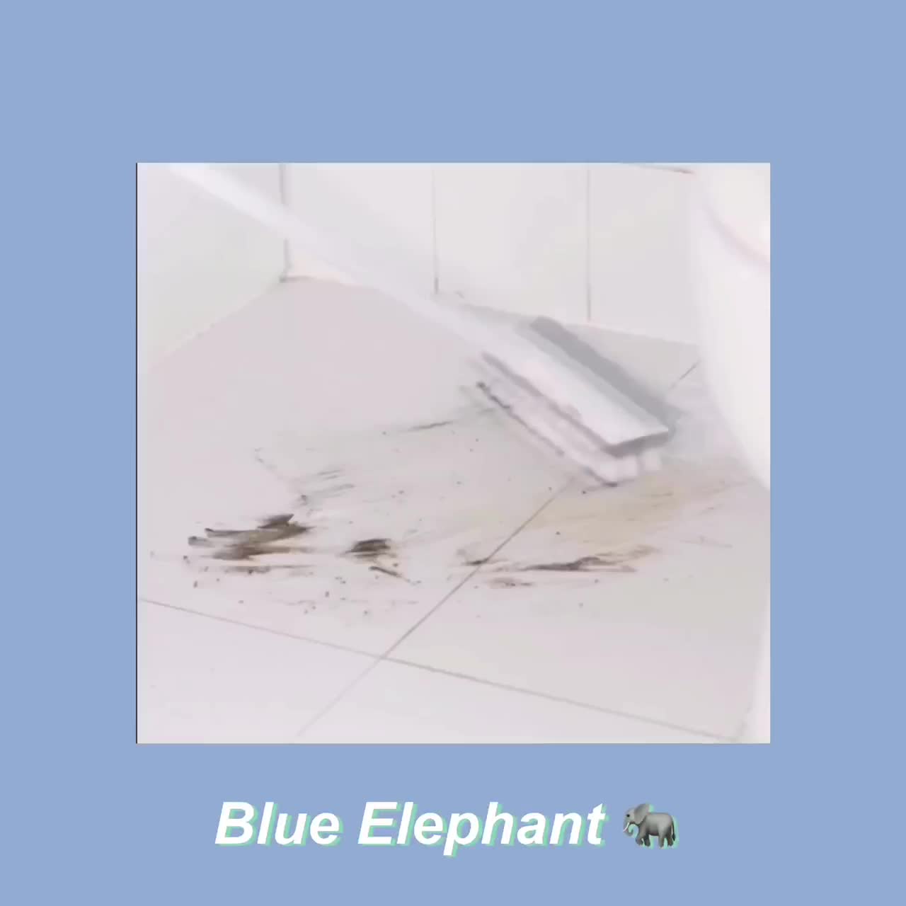blue-elephant-ของแท้100-แปรงขัดพื้นพร้อมที่ปาดน้ำ-ด้ามยาว