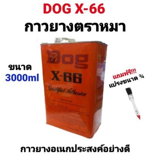 กาวยาง กาวยางอเนกประสงค์ DOG X-66 ตราหมา 3000ml กาวยางตราหมา กาวติดรองเท้า กาวซ่อมกระเป๋า กาวติดพีวีซี กาวเหลือง