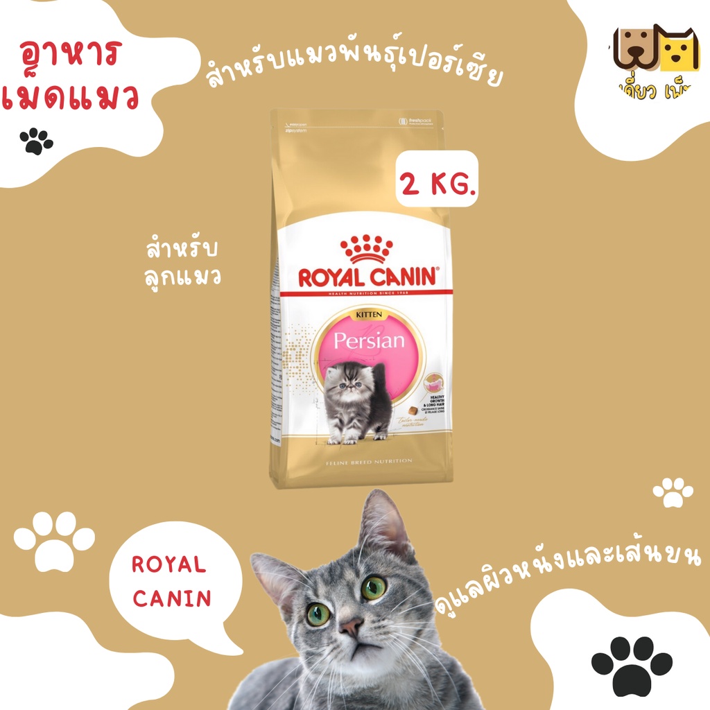 ขนาด-2-กก-royal-canin-persian-adult-kitten-persian-อาหารเม็ดแมวโตและลูกแมวเปอร์เซีย