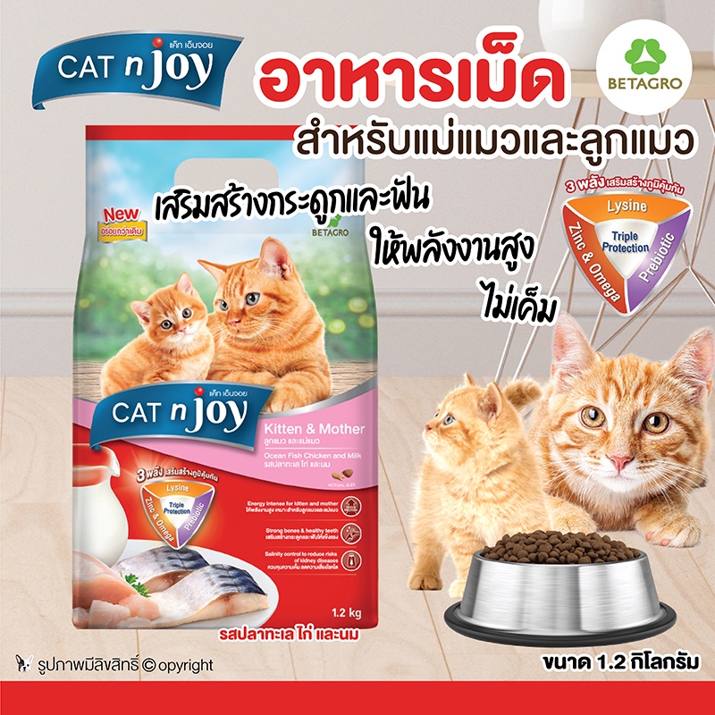 อาหารลูกแมว อาหารแม่แมว Cat N Joy แค็ท เอ็นจอย อาหารแมว อาหารเม็ดแมว  (Kitten & Mother รสปลาทะเล ไก่ และนม) ขนาด 1.2 กก. | Shopee Thailand
