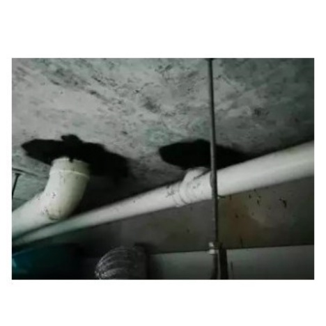 spray-udon-col-at-leak-spray-together-leak-spray-waterproof-seepage-leak-spray-udon-col-at-crack-wall-body-building-ฉัด