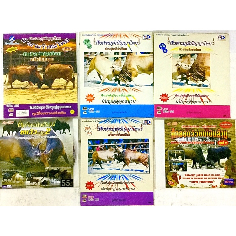 vcd-ศึกวัวชน-ตำนานวัวชน-ลิขสิทธิ์แท้-แผ่นใหม่มือ1