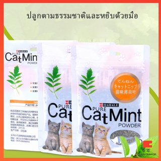 สินค้า ผงแคทนิป & ผงมาทาทาบิ ซองซิบ \"พลาสติก\"  ของแท้ 100% โรยของเล่นแมว 5g (พร้อมส่ง) ลูกบอลแมว Catnip