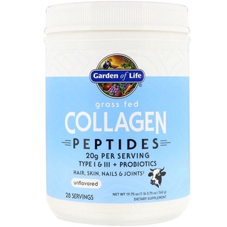 ภาพขนาดย่อของสินค้าคอลลาเจน Garden of Life, Grass Fed Collagen Peptides, Unflavored นำเข้า USA