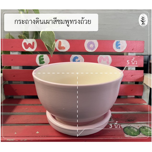 กระถางต้นไม้ดินเผาสีพาสเทล-ทรงถ้วย-พร้อมจานรอง-ขนาด-5-นิ้ว