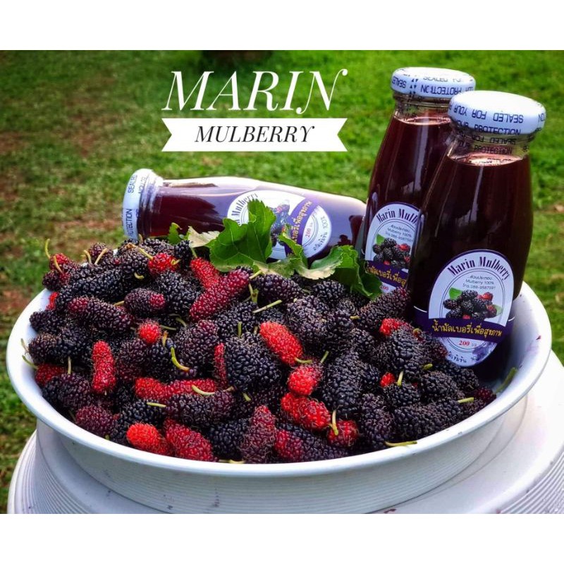 marin-mulberry-น้ำมัลเบอร์รี่-ลูกหม่อน-100-ขนาด-200ml