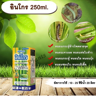 อินโกร 250ml. อินดอกซาคาร์บ สารกำจัดแมลง กำจัดหนอน หนอนม้วนใบ หนอนกระทู้ลายจุดข้าวโพด หนอนใย หนอนเจาะ allaboutplants