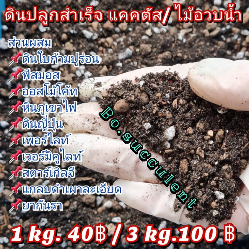 ดินปลูกแคคตัส-ดินปลูกสำเร็จ-ดินปลูก-ดินปลูกไม้อวบน้ำ-500g-1kg