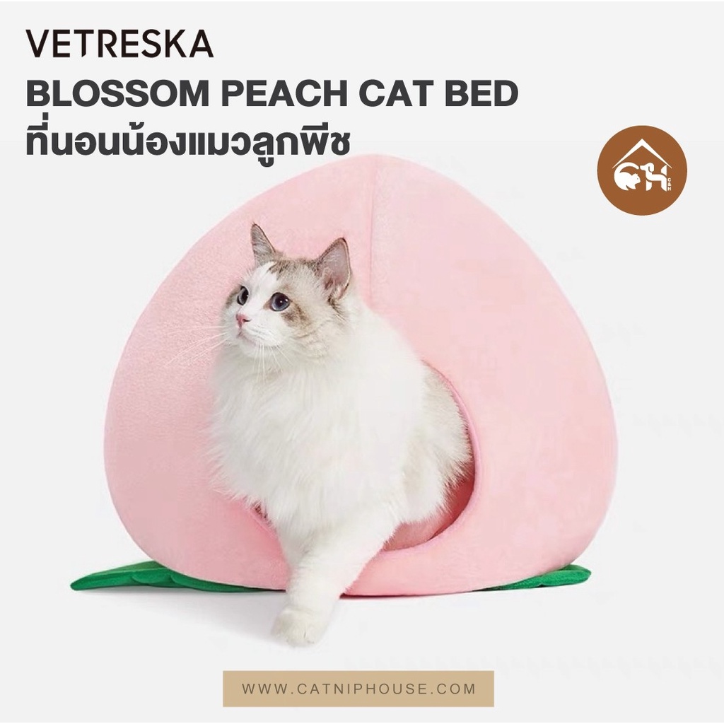 ของแท้-ถูกสุด-พร้อมส่ง-vetreska-cactus-ที่นอนแมว-บ้านแมว-ที่นอนแมวกระบองเพชร-ที่นอนแมวลูกพีช-พร้อมส่ง