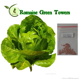 Romaine Green Towers Lettuce 50seeds50 seeds (not live plants)向日葵/芹菜/玫瑰/seeds/苹果/园艺/文胸/木瓜/内裤/花园/ 5Y3I