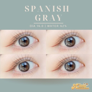 Spanish gray | คอนแทคเลนส์รายเดือน