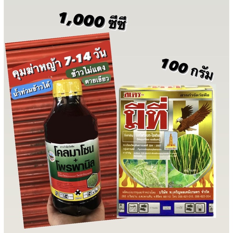 คุมฆ่า-ยาคุมฆ่า-โคลมาโซน-โพรพานิล-ยาคุมฆ่าหญ้า-ช่วงข้าวอายุ-7-15-วัน-ข้าวไม่แดง-ไม่โทรม-น้ำท่วมยอดข้าวได้