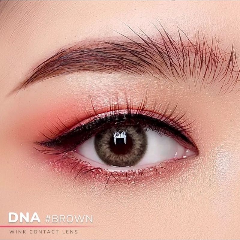 คอนแทคเลนส์-dna-brown-ขนาดมินิเท่าตา-โทนฝอตาฝรั่งสวย