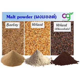 ภาพหน้าปกสินค้ามอลต์บดละเอียด (diastatic malt powder) แป้งมอลต์ ขนาด 500 g (Whole Grain Malt Flour) ผลิตจากมอลต์นำเข้าจากเยอรมัน 100% ซึ่งคุณอาจชอบสินค้านี้