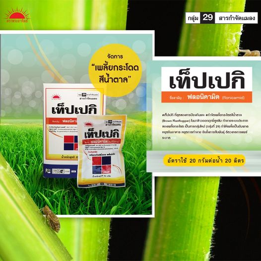 เท็ปเปกิ-250-กรัม-ฟลอนิคามิด-flonicamid-50-wg-สารป้องกันกำจัดพลี้ยกระโดดสีน้ำตาลในข้าว-เพลี้ยจักจั่นฝ้าย-เพลี้ยอ่อน