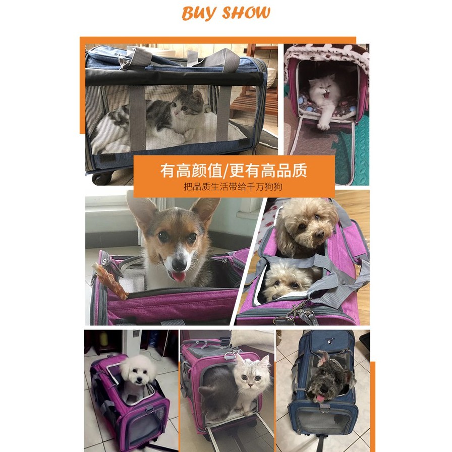 ภาพสินค้าThai.th กระเป๋าใส่สุนัข 4 in 1 ดึง ลาก หิ้ว สะพาย ในใบเดียว กระเป๋าใส่สัตว์เลี้ยงแบบล้อลาก JJM04 จากร้าน zzxr1982 บน Shopee ภาพที่ 6