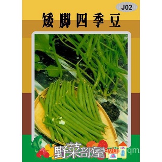 【เม้ง Tian เมล็ด~】J02เมล็ดถั่วแคระญี่ปุ่น35เม็ด , เรียกว่า