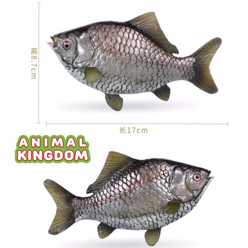 animal-kingdom-โมเดลสัตว์-ปลาตะเพียน-ขนาด-17-00-cm-จากสงขลา