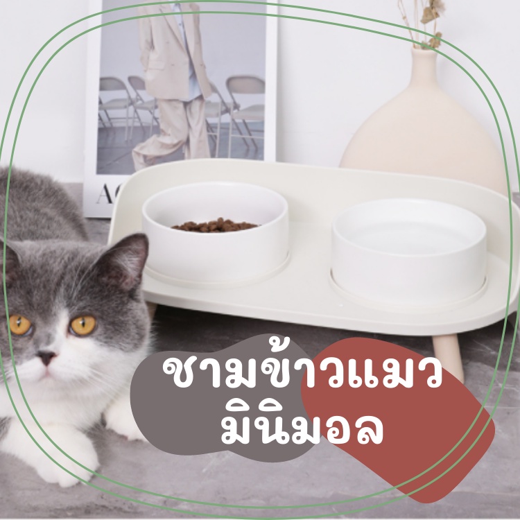 ถ้วยข้าว-ชามข้าว-ชามข้าวแมว-แบบคู่-ยกสูง-กันมด-ดีไซน์สวยงาม-ของเล่นแมวราคาส่ง