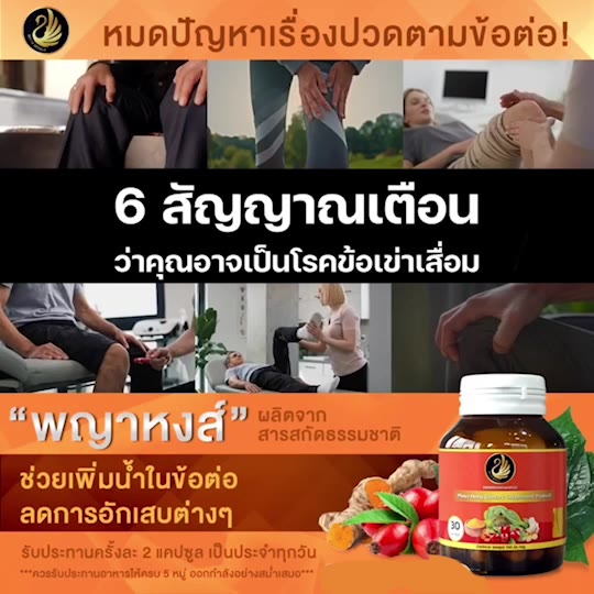 ซื้อ-1แถม1-พญาหงส์ไทย-สมุนไพร-ข้อเข่าเสื่อม-ปวดเมื่อย-เส้นตึง-คลายเส้น-ปวดหลัง-ปวดกล้ามเนื้อ-เส้นตึง-เอ็นยึด-แท้-ส่งฟรี