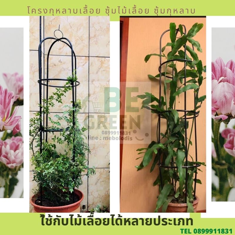 ซุ้มกุหลาบ-โครงกุหลาบ-ซุ้มไม้เลื้อย-190ซม-โครงเหล็ก-ซุ้มดอกไม้-กุหลาบเลื้อย-สีขี้ม้า-ปรับระดับได้-ร้านไทย-ประกันสินค้า