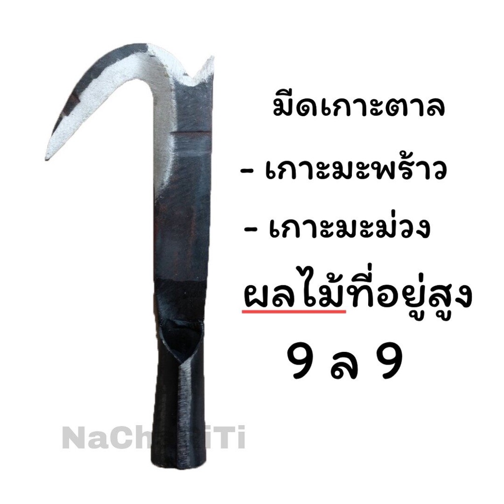 apy-มีดเกาะตาล-เกาะมะพร้าว-เกาะมะม่วง-และผลไม้อื่นๆที่เป็นพวง