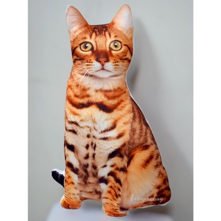 หมอนอิงพิมพ์ลายน้องแมว Bengal  ขนาด 50ซม หมอน3D หมอน3มิติ หมอนแมว หมอนน่ารัก หมอนแมวนุ่มนิ่ม หมอนนุ่มน่ากอด