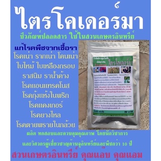 ไตรโคเดอร์มา 100กรัม กำจัดเชื้อรา โรครากเน่า โคนเน่า ใบไหม้ ใบด่าง ใบจุด ใบเหลืองหลุดร่วง แคงเกอร์ แอนแทรคโนส ยางไหล