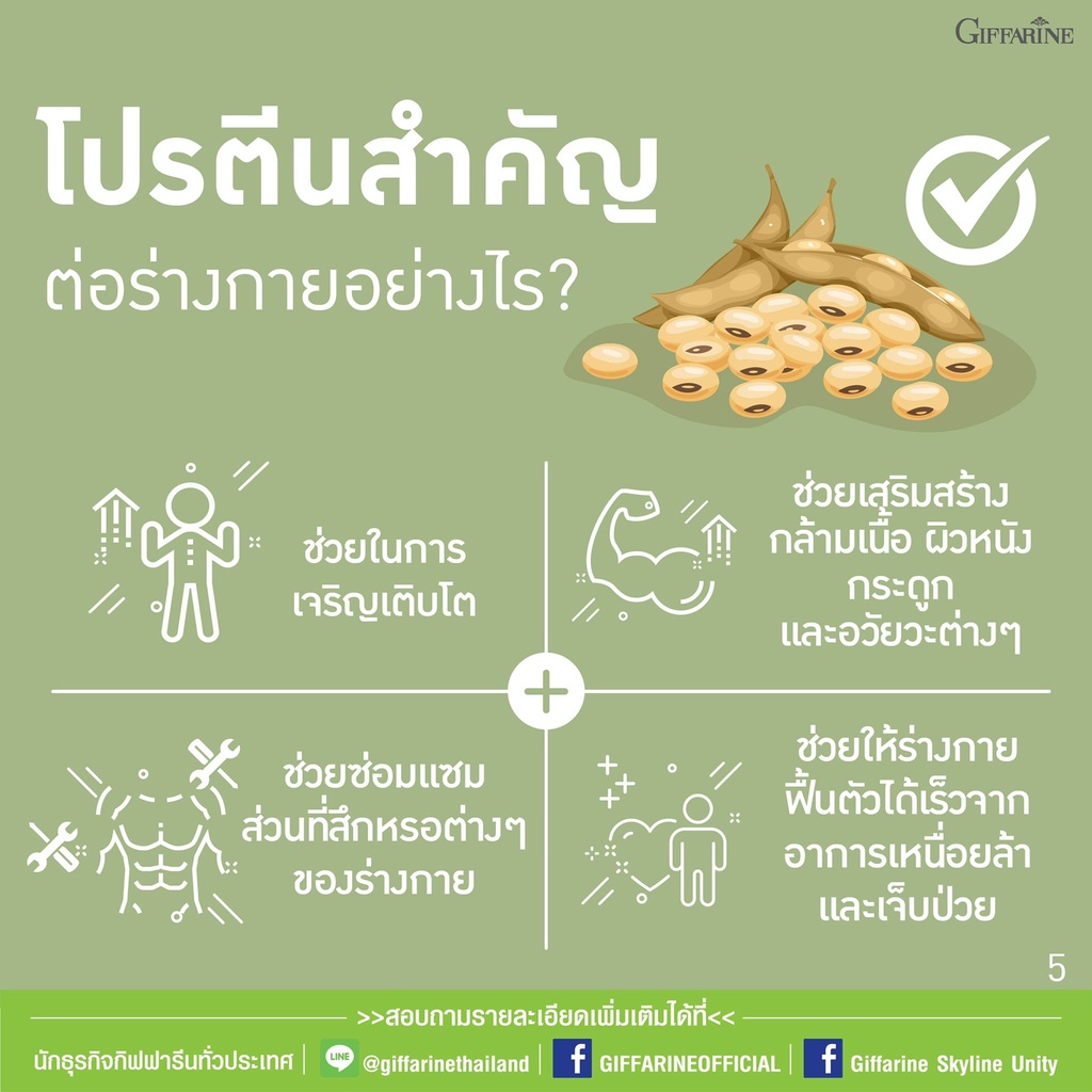 กิฟฟารีน-วีแกน-มัลติ-แพลนท์-โปรตีน-สูตรออริจินัล-โปรตีนสกัดเข้มข้นสกัดจากถั่วเหลืองและถั่วลันเตาสีทอง-ผสมแคลเซียม