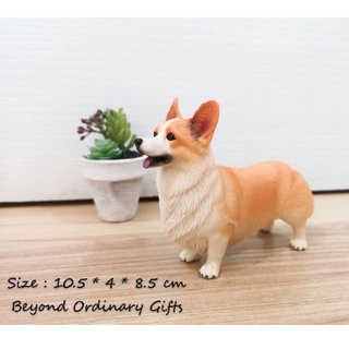 โมเดลคอร์กี้สองสียืน พร้อมส่ง (Welsh Corgi​ Model)​