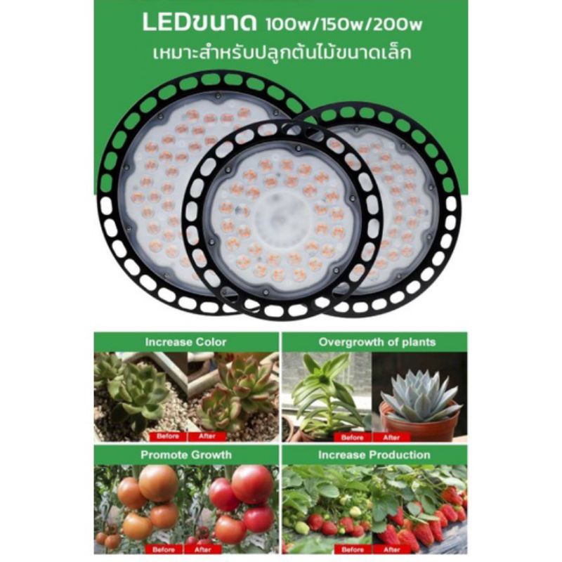 grow-light-ไฟปลูกต้นไม้-ufo-100-200w-สำหรับไม้ด่าง-ไม้ใบเขียว-แคคตัส