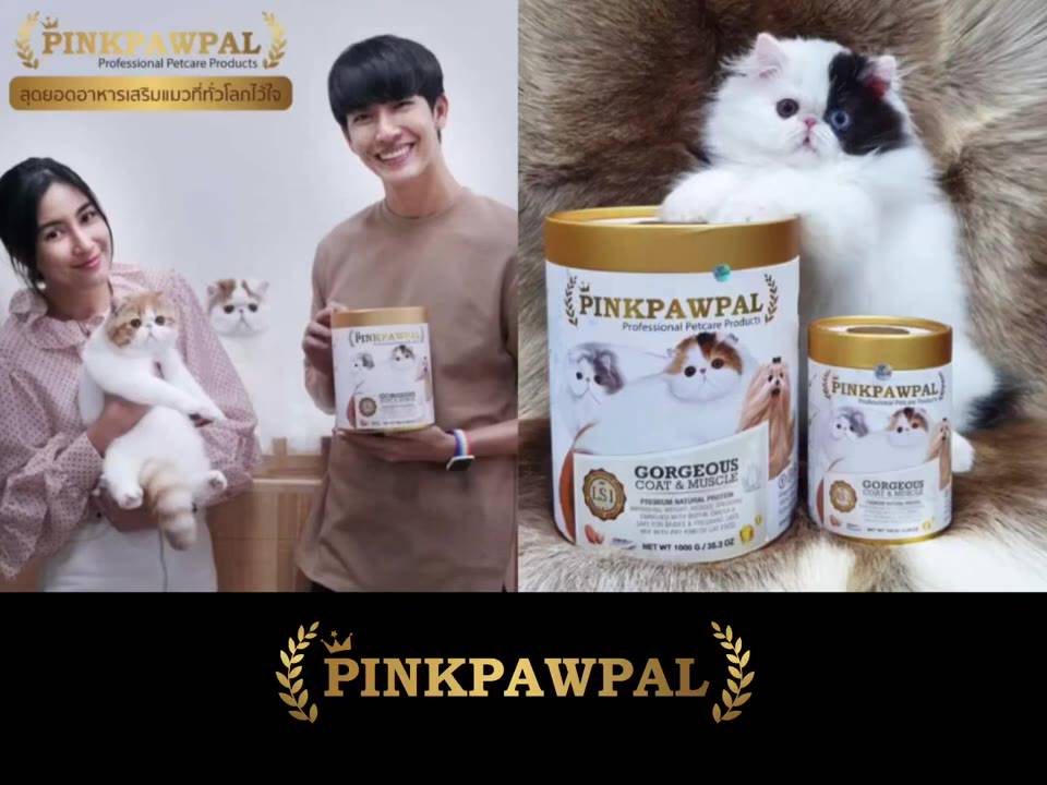 pinkpawpal-อาหารเสริมสุนัข-และแมว-สูตรเพิ่มน้ำหนัก-บำรุงขนและกล้ามเนื้อ-gorgeous-coat-and-muscles-supplement-ผงโปรตีน