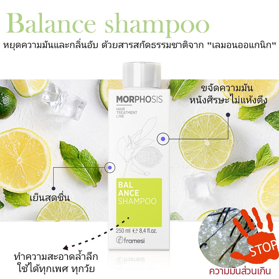 framesi-morphosis-balance-shampoo-250ml-แชมพูสำหรับผมมัน-ขจัดน้ำมันส่วนเกิน-ลดอาการคันและระคายเคืองของหนังศรีษะ-ด้วยสารส