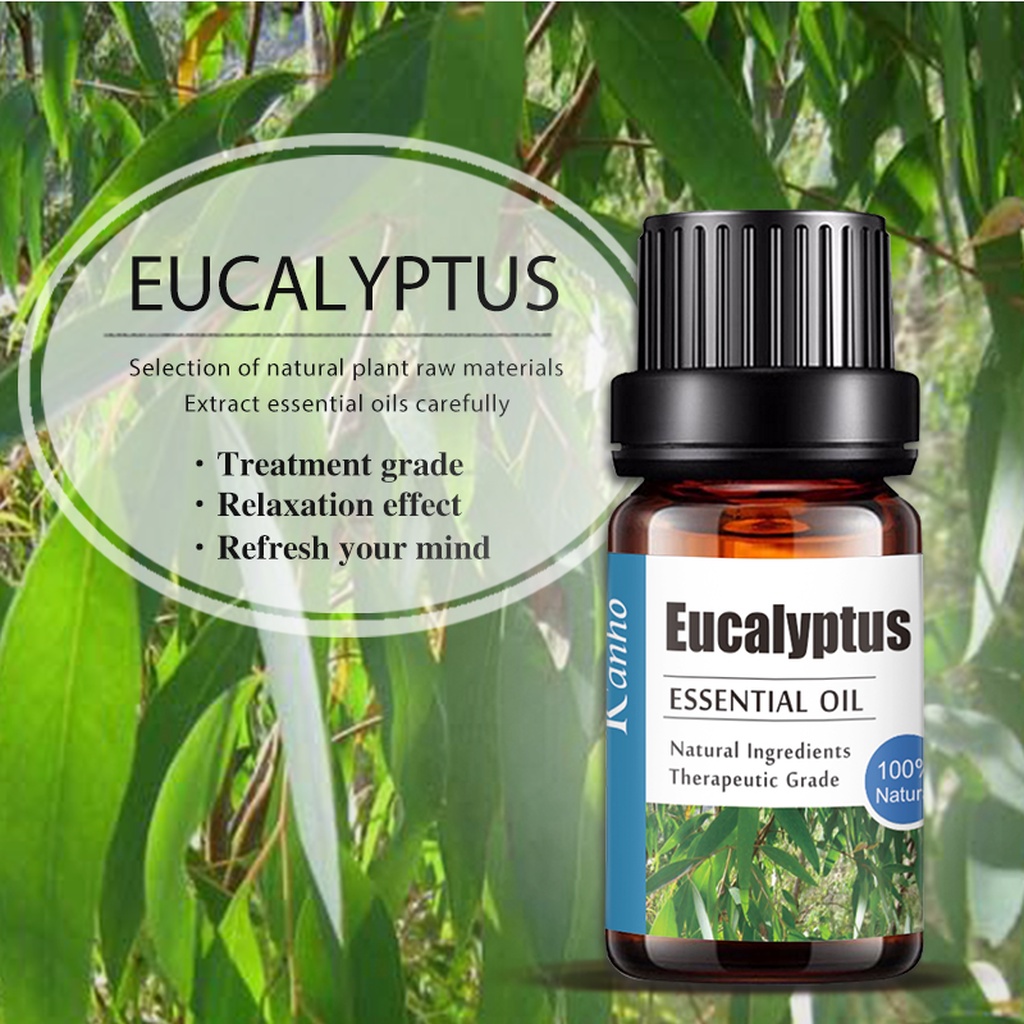 aliztar-100-pure-eucalyptus-essential-oil-10-มิล-น้ำมันหอมระเหยยูคาลิปตัสแท้-อโรมาเทอราพี-เตาอโรมา-เครื่องพ่นไอน้ำ-ผ