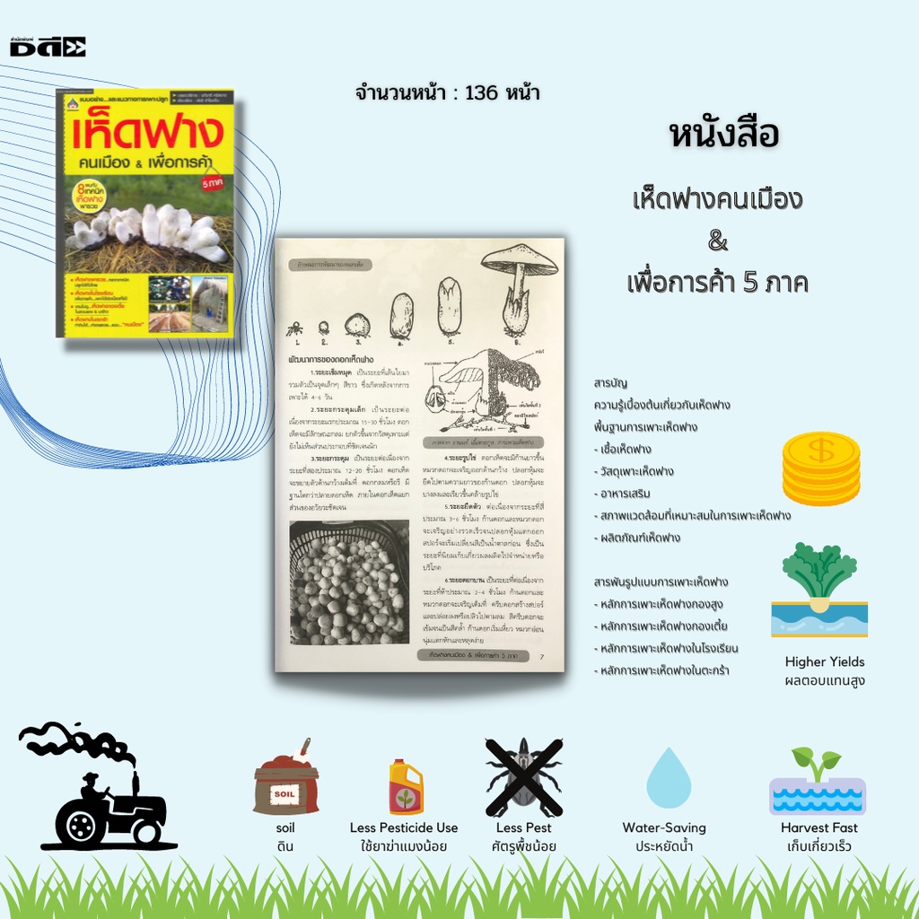 หนังสือ-เห็ดฟางคนเมือง-amp-เพื่อการค้า-5-ภาค-พื้นฐานการเพาะเห็ดฟาง-เชื้อเห็ดฟาง-วัสดุเพาะเห็ดฟาง-แหล่งจำหน่ายวัสดุอุปกรณ์