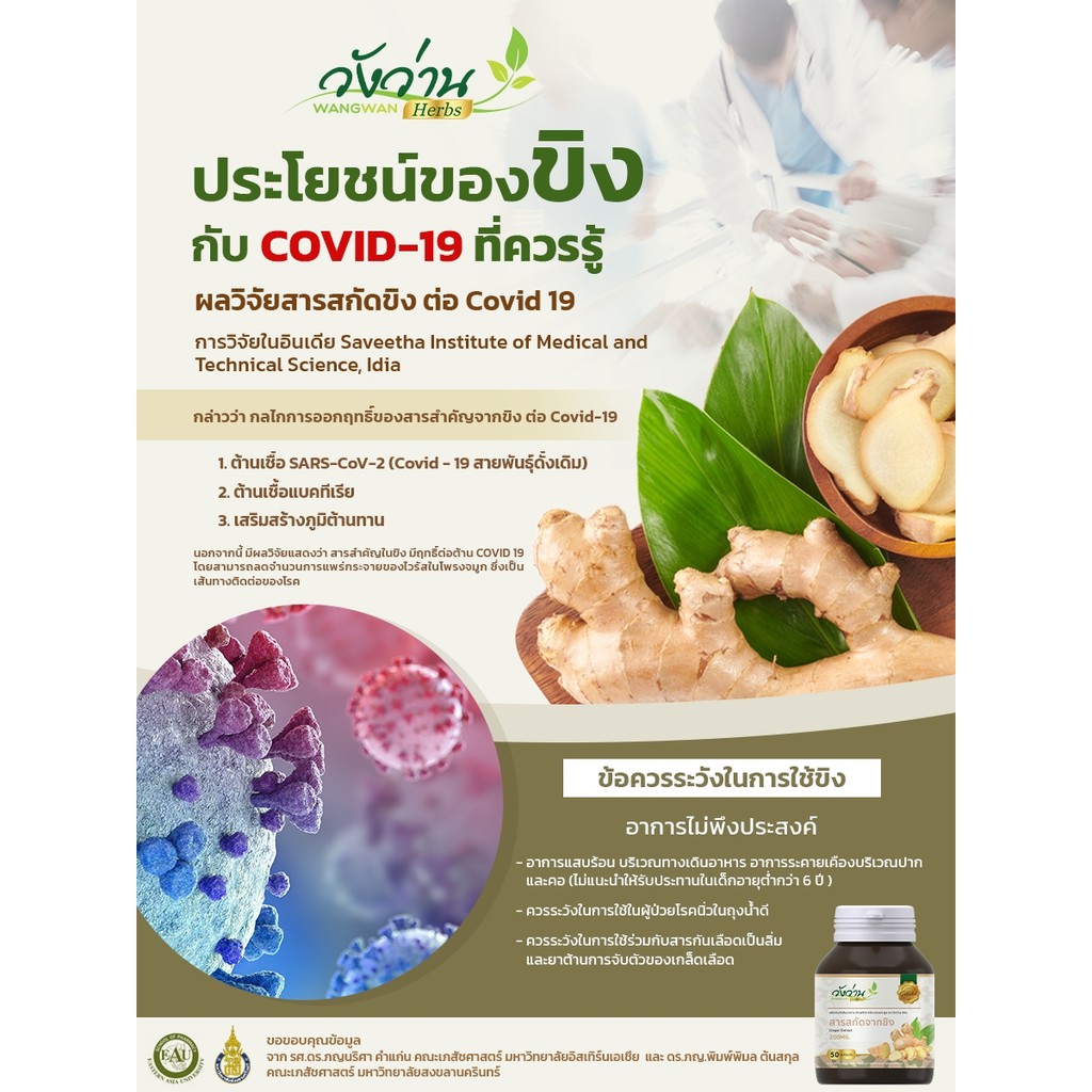 ภาพสินค้าWangwan Herbs (วังว่านเฮิร์บ) สารสกัดขิง จากร้าน wangwanth บน Shopee ภาพที่ 4