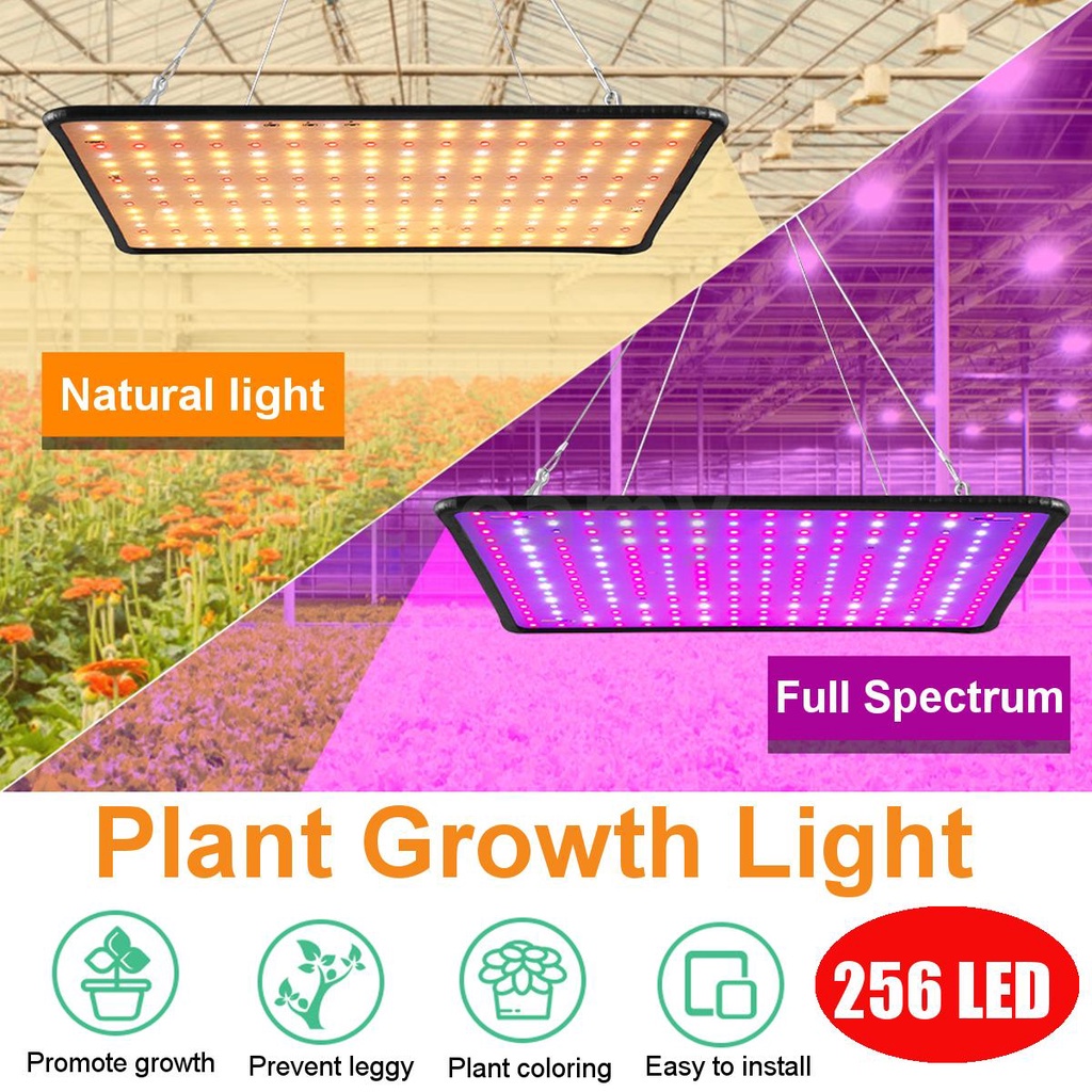 5000w-led-เต็มสเปกตรัม-โคมไฟโรงงาน-พืชไฮโดรโปนิกส์ในร่ม-แสงยูวีสำหรับการเจริญเติบโตของพืช