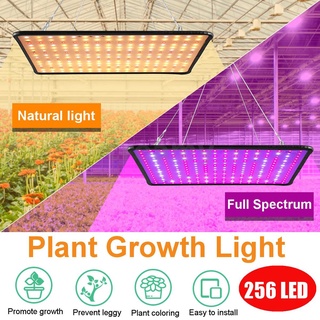 5000W LED เต็มสเปกตรัม โคมไฟโรงงาน พืชไฮโดรโปนิกส์ในร่ม แสงยูวีสำหรับการเจริญเติบโตของพืช