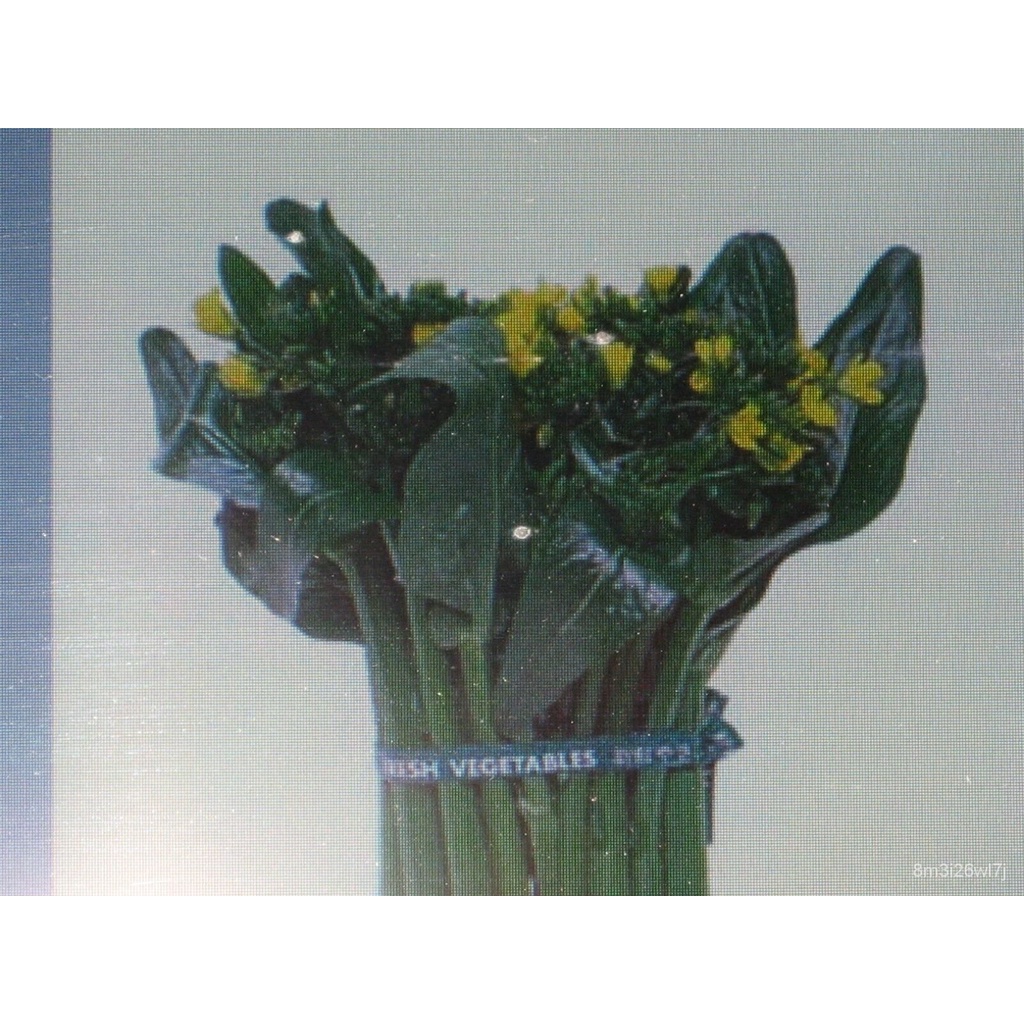 tsoi-sim-จีนสีเขียว-สลัดและผัด-ดอกตูมและหวาน-lrba