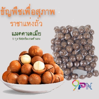 แมคคาเดเมีย ปริมาณ 500 กรัม แบบมีเปลือก (แถมที่แกะเปลือกฟรี)ธัญพืชเพื่อสุขภาพ ราชาแห่งถั่ว แม็คคาเมเมีย พร้อมทาน