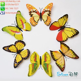 PVC Wall sticker สติ๊กเกอร์ติดผนัง 3D butterfly สไตล์J (กว้างfree.xสูงfree.)