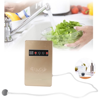 [READY STOCK] 600mg/h Home Ozone Generator Ozonator Air Purifier Water Food Sterilizer Machine