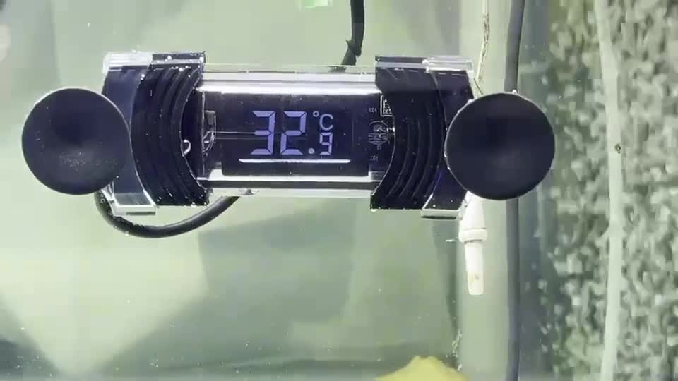 ตัววัดอุณหภูมิ-น้ำดิจิตอล-digital-thermometer-hopar-วัดอุณหภูมิน้ำตู้ปลาแม่นยำ