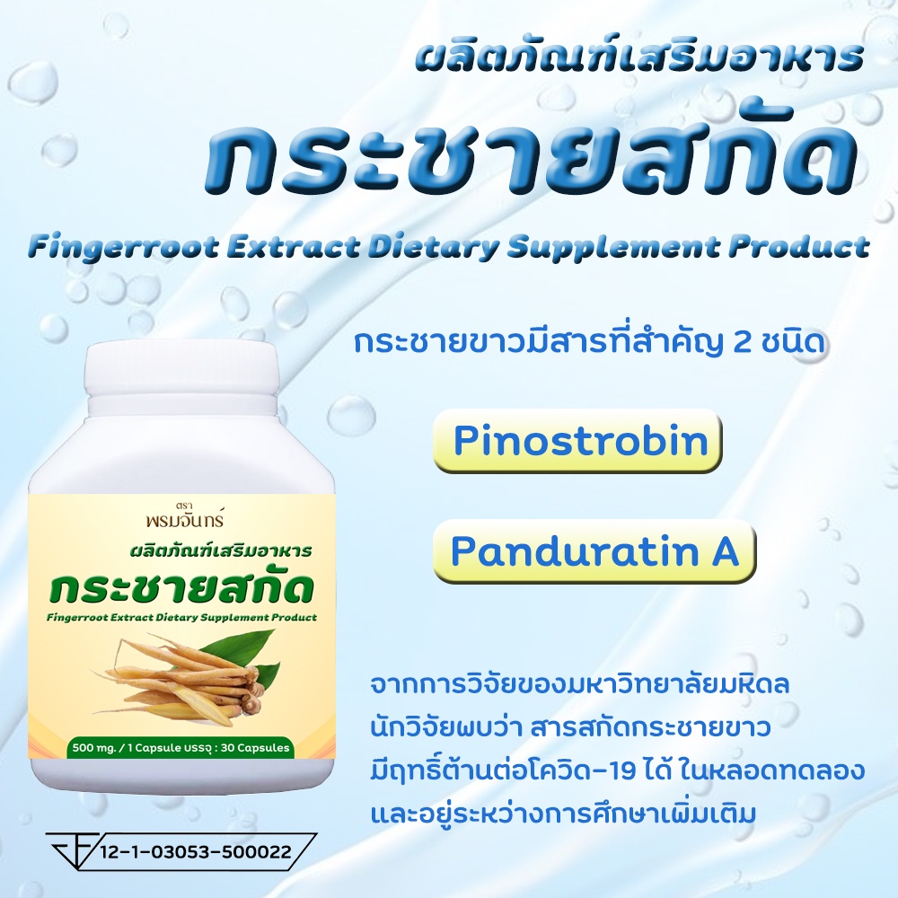 ส่งฟรี-ของแท้-100-กระชายสกัด-กระชายแคปซูล-500-mg-กระชายขาวสกัด-สารสกัดกระชายขาว-มี-อ-ย-ถูกต้อง-ปลอดภัย