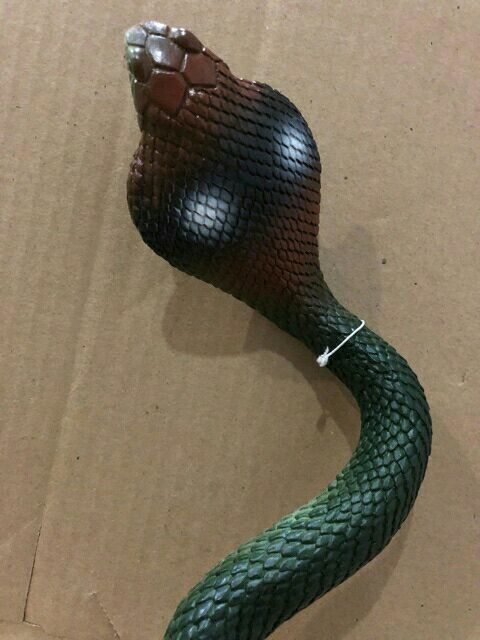 ภาพหน้าปกสินค้างู งูยาง งูปลอม ไล่นก ขนาด 90 ซม.(1 ตัว ) จากร้าน kittapon3 บน Shopee